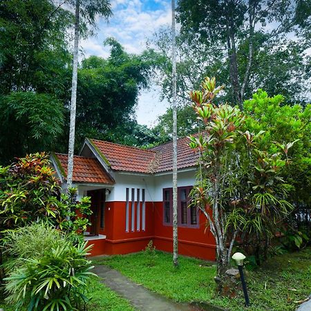 Vythiri Holiday Resort, Wayanad Εξωτερικό φωτογραφία