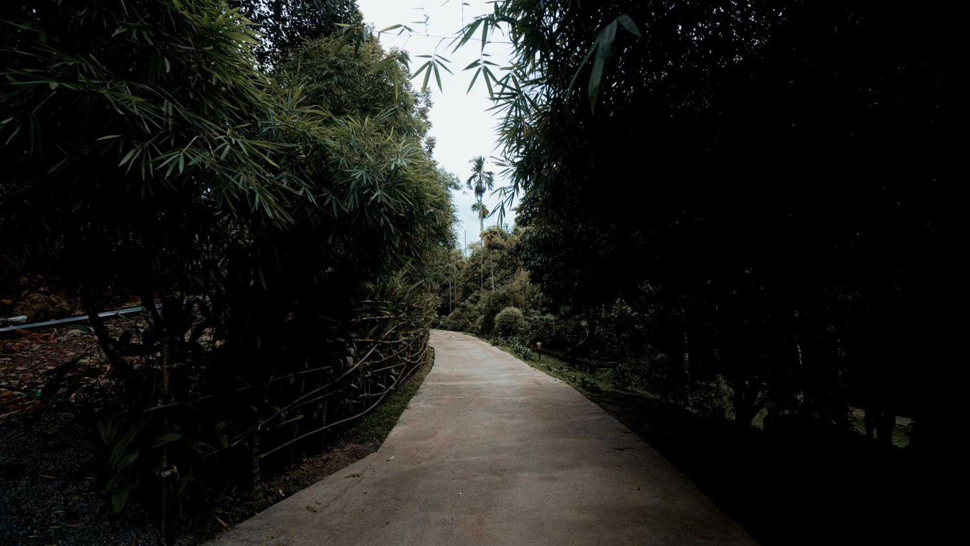 Vythiri Holiday Resort, Wayanad Εξωτερικό φωτογραφία