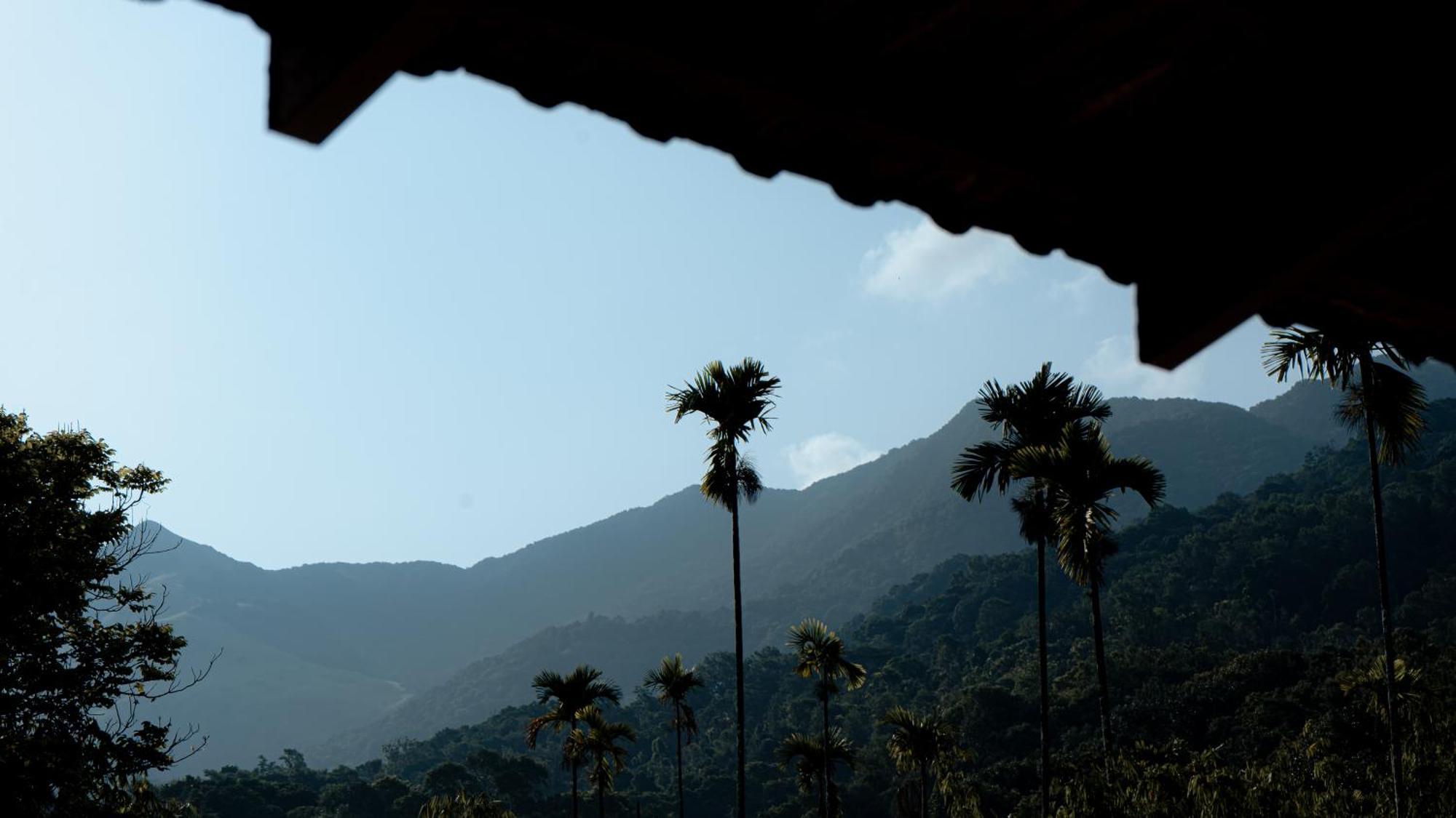 Vythiri Holiday Resort, Wayanad Εξωτερικό φωτογραφία