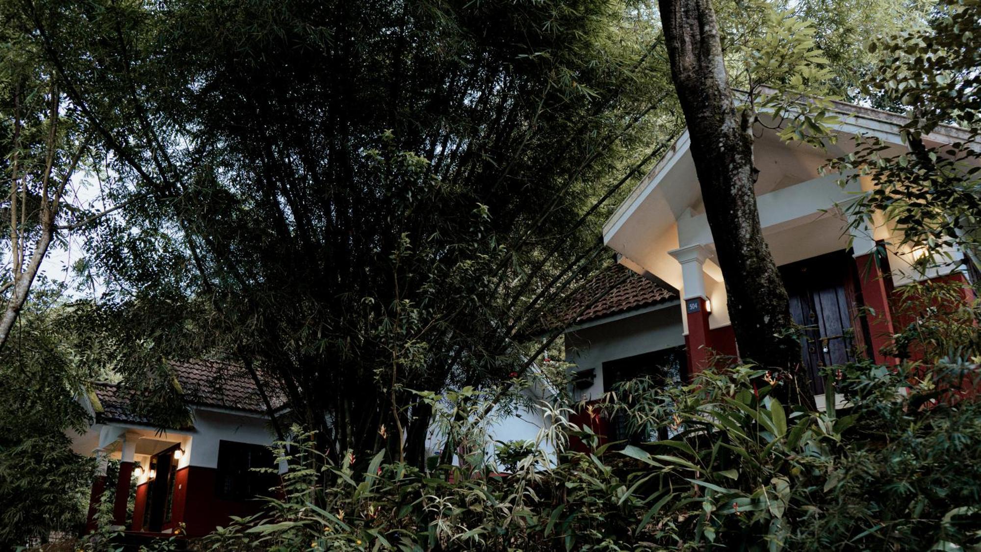 Vythiri Holiday Resort, Wayanad Εξωτερικό φωτογραφία